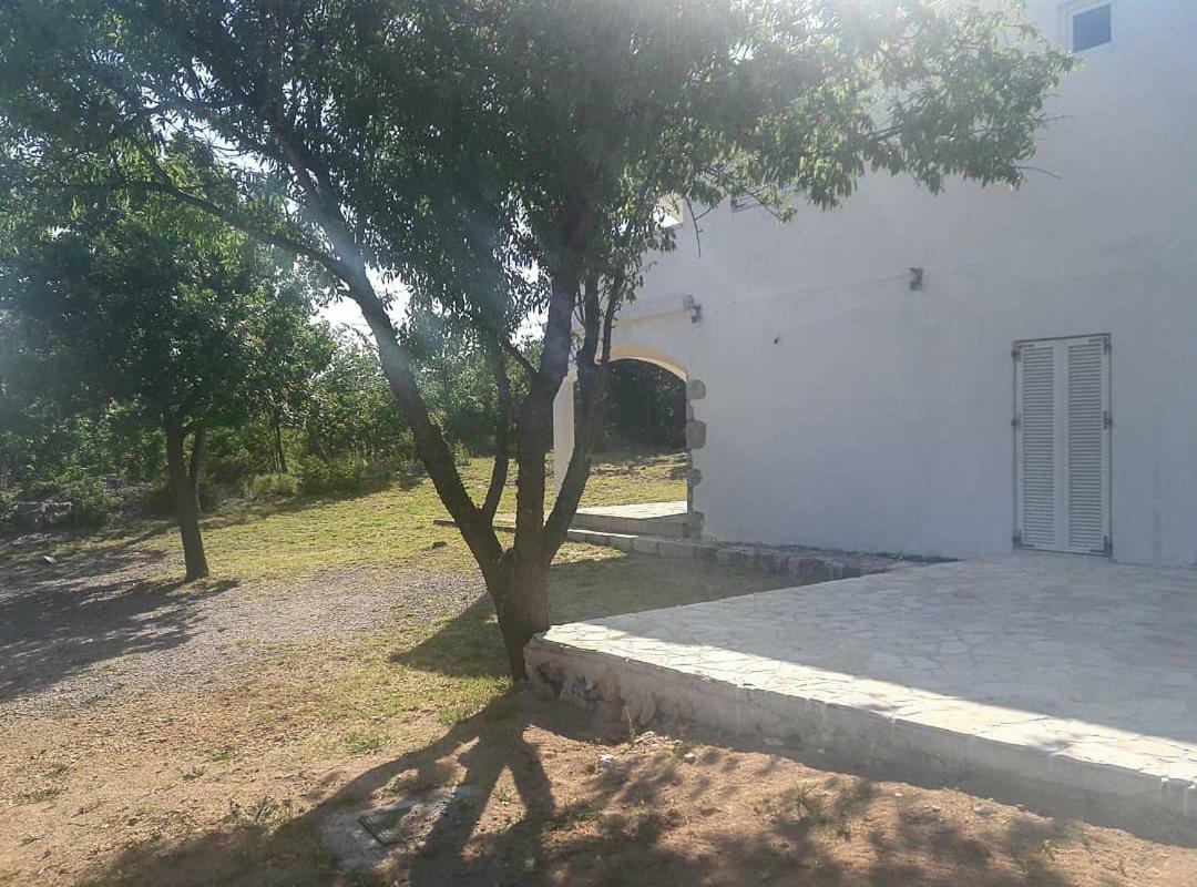 Apartmani Lucija マスレニツァ エクステリア 写真