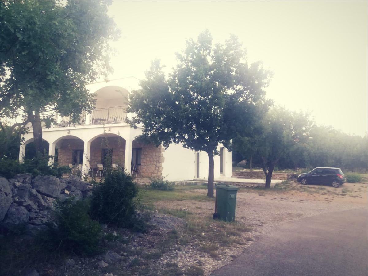 Apartmani Lucija マスレニツァ エクステリア 写真
